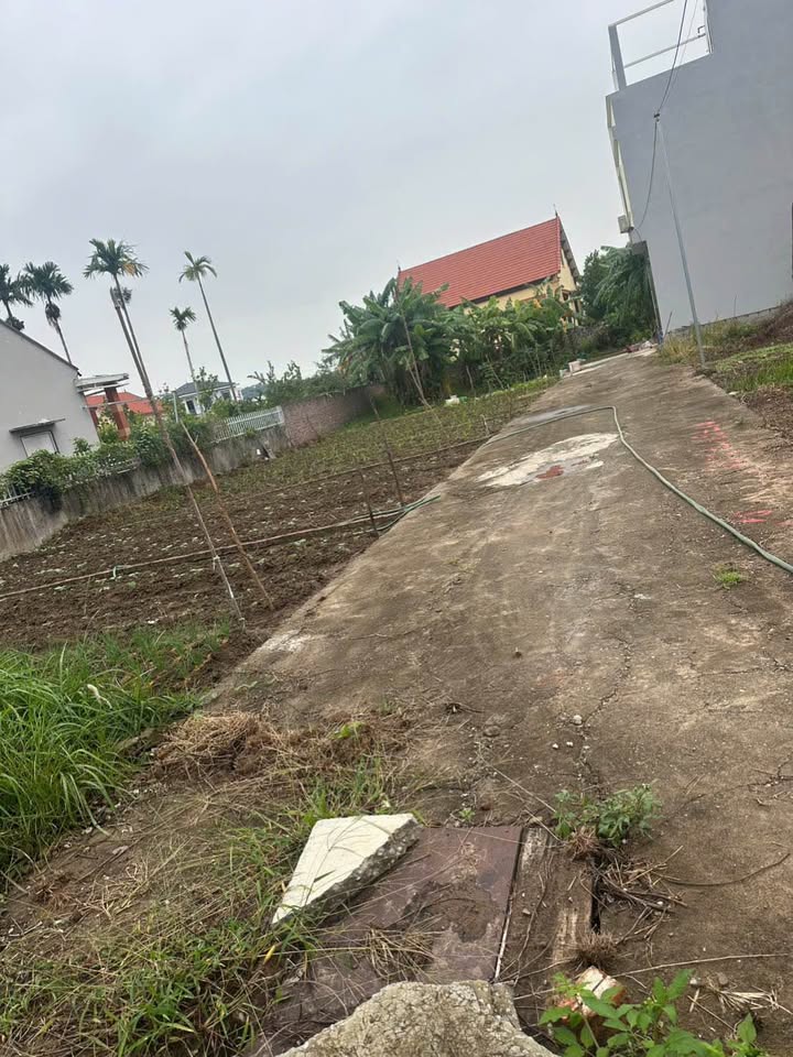 Bán đất Bàng La, Đồ Sơn, Hải Phòng - 54.8m², mặt tiền 5.3m