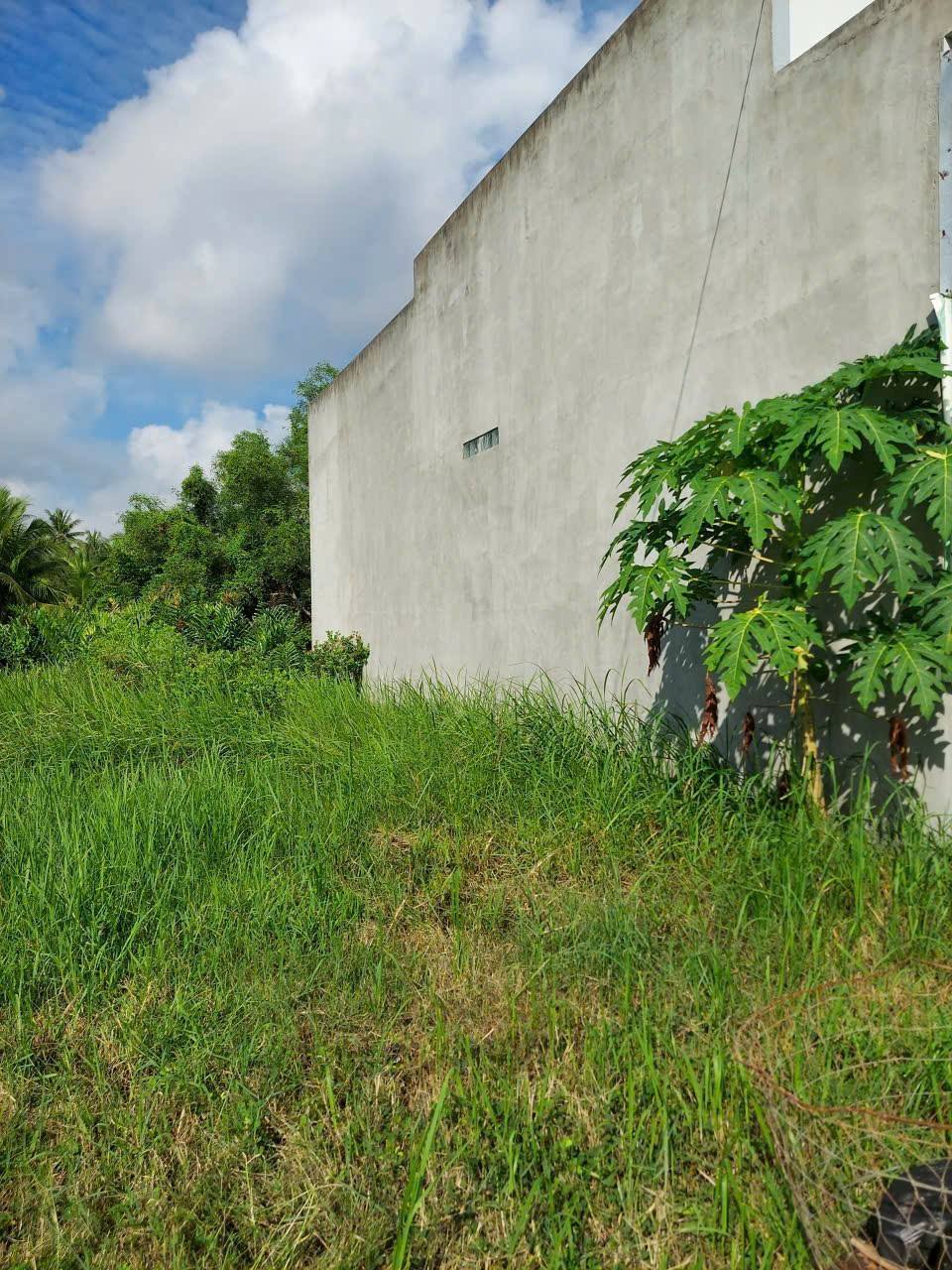 Mảnh đất Bến Tre, đón bình minh phương Đông