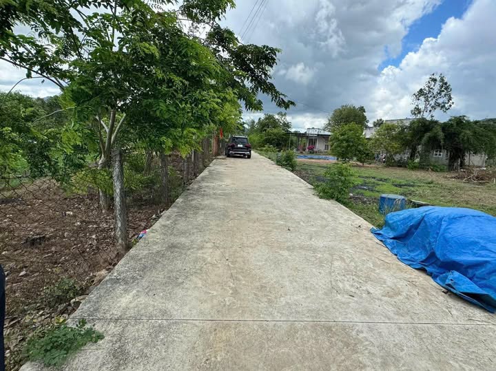 Bán đất vườn cây ăn trái 2120m2 tại Châu Pha, giá 6.8 tỷ