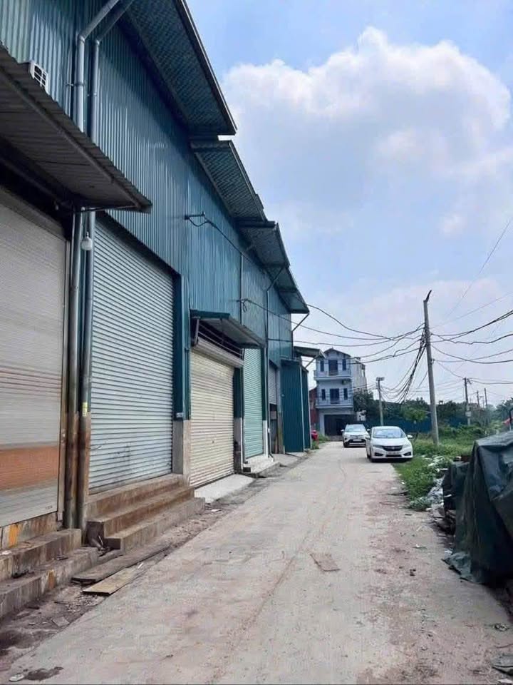 Đất vàng Thanh Oai 60m2 bám đường nhựa, ô tô tránh nhau, kinh doanh vô tư