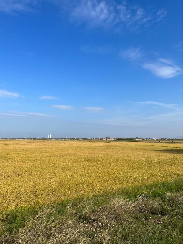 Đất ruộng 2 mặt tiền gần chợ Pơhe, giá yêu thương chỉ 450 triệu