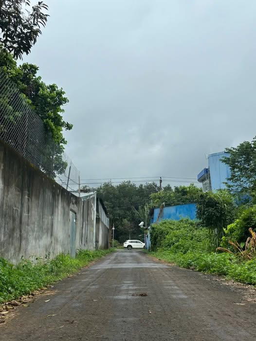 Bước chân vào một câu chuyện về cơ hội sở hữu một lô đất vàng tại phường Tân An