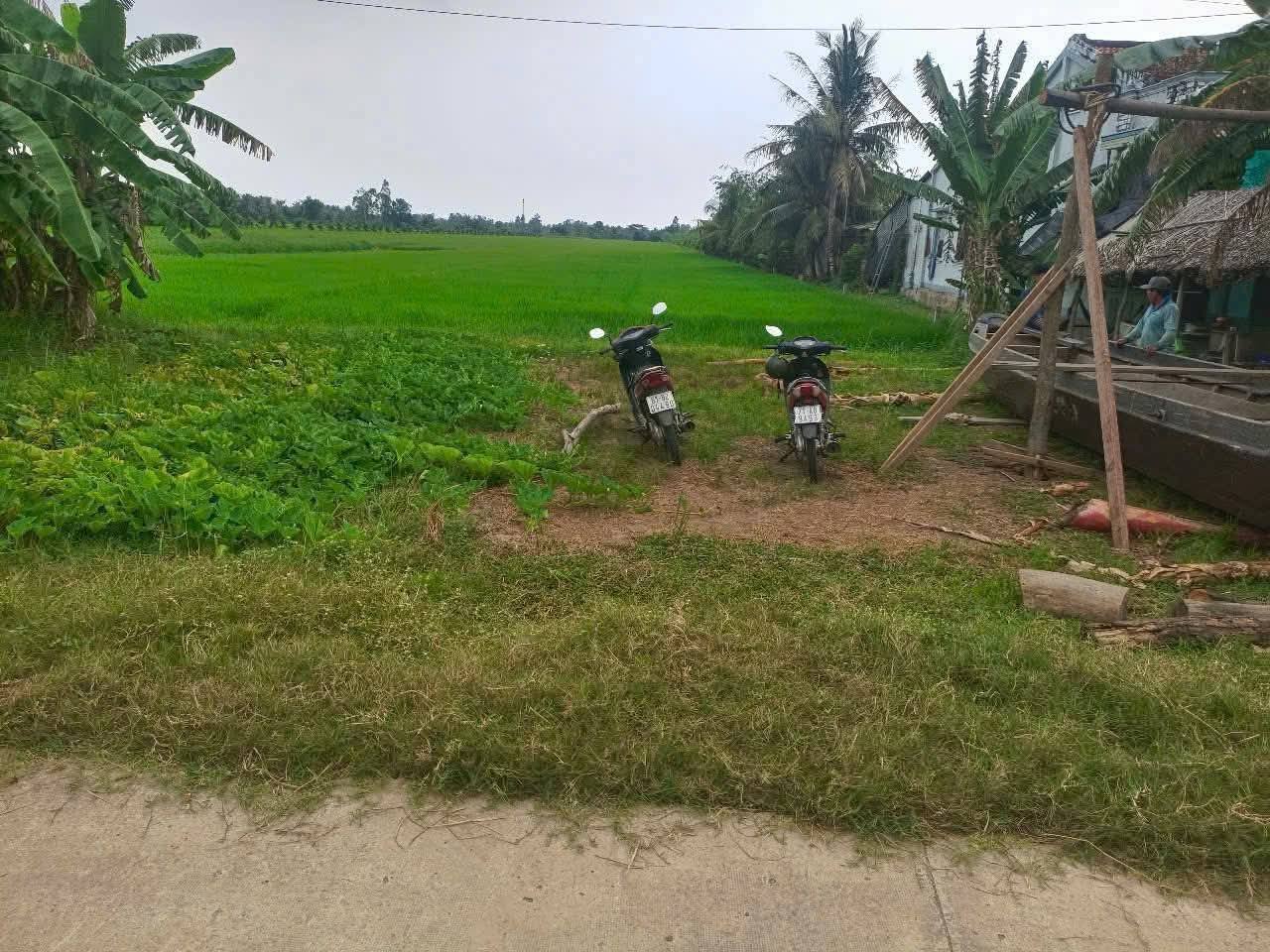 Đất Ba Tri, Xe du lịch vi vu, quy hoạch thổ cư, giá mềm