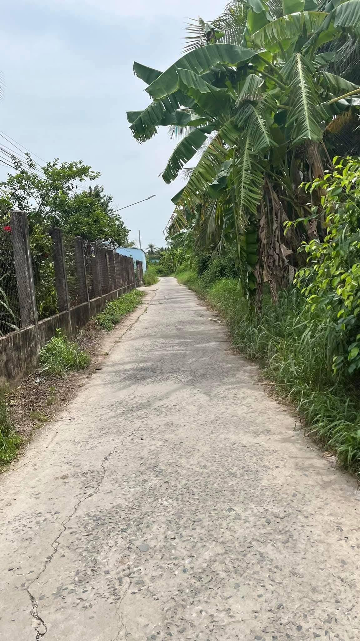 Đất đẹp An Ngãi Trung, Ba Tri chỉ hơn 300 triệu đầu tư ngay