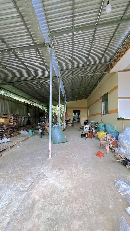 An cư lạc nghiệp tại Bến Tre - Nhà vườn rộng rãi, tiềm năng sinh lời