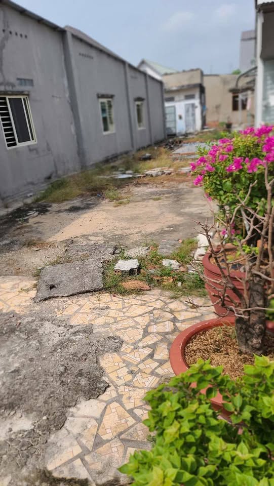 Đất Long Hoa 5x28m, 1.45 tỷ, đường 10m, sổ đỏ 70m² - Cơ hội vàng không thể bỏ lỡ