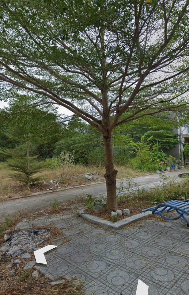 Đất vàng Nha Trang 64m2 công viên, ngang 4m, giá 2.5 tỷ - Đất lành Vĩnh Thái