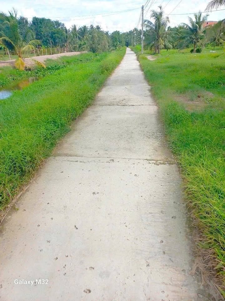 Đất vàng Long Đức 2 công lúa xanh mướt, sổ đỏ sẵn sàng, giá hời