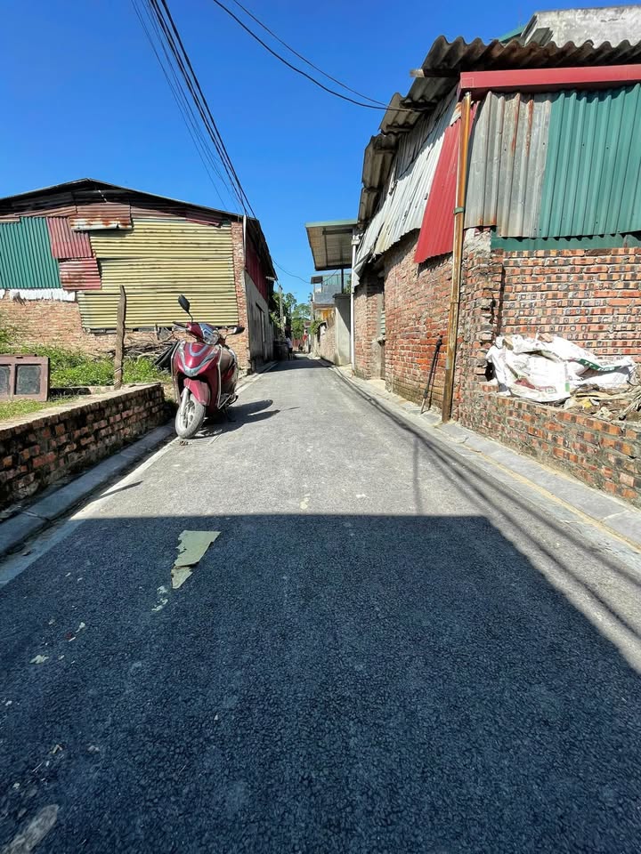 Đất vàng Thụy Lâm 118.8m² mặt tiền rộng, sổ đỏ riêng, sẵn sàng giao dịch