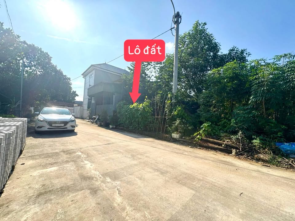 Bán đất 100m2 full thổ cư, mặt tiền 6,5m, đường 3 ô tô tránh tại Phú Ninh, Vĩnh Phúc