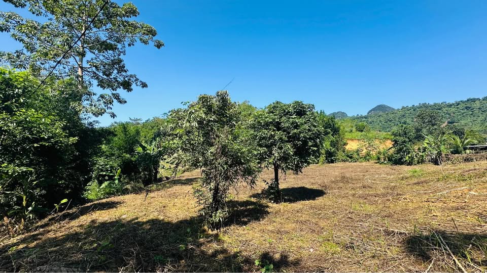 Bán đất 2000m2 view đẹp, mặt đường bê tông 40m tại Cao Phong