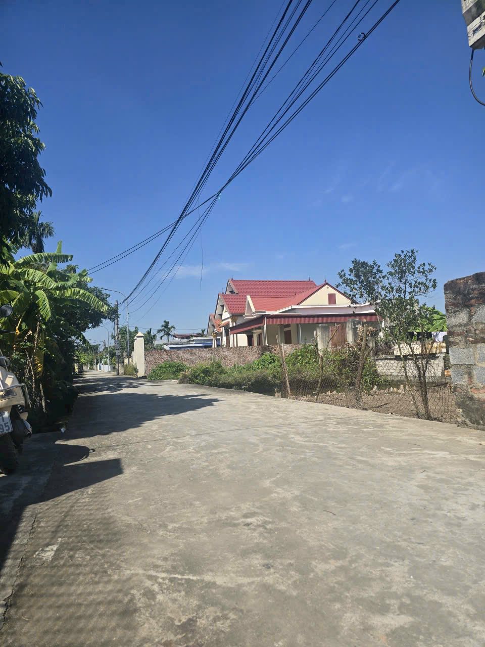 Mảnh đất vàng An Lão kề cận Tràng Duệ 3, sổ đỏ vuông vắn, lãi ngay