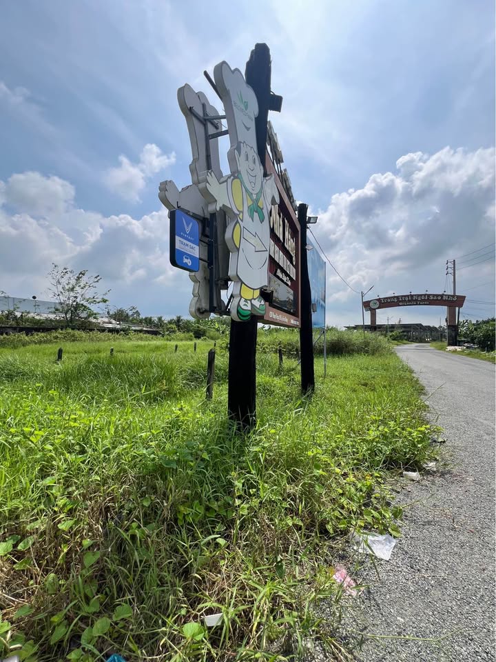 Đất mặt tiền đường Phạm Hùng, Sóc Trăng, diện tích 1520m2, thổ cư 525m2, hướng Đông Nam