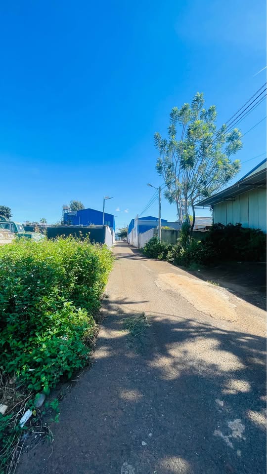 Đất vàng Đức Trọng - Mặt tiền rộng, tiềm năng sinh lời vô hạn