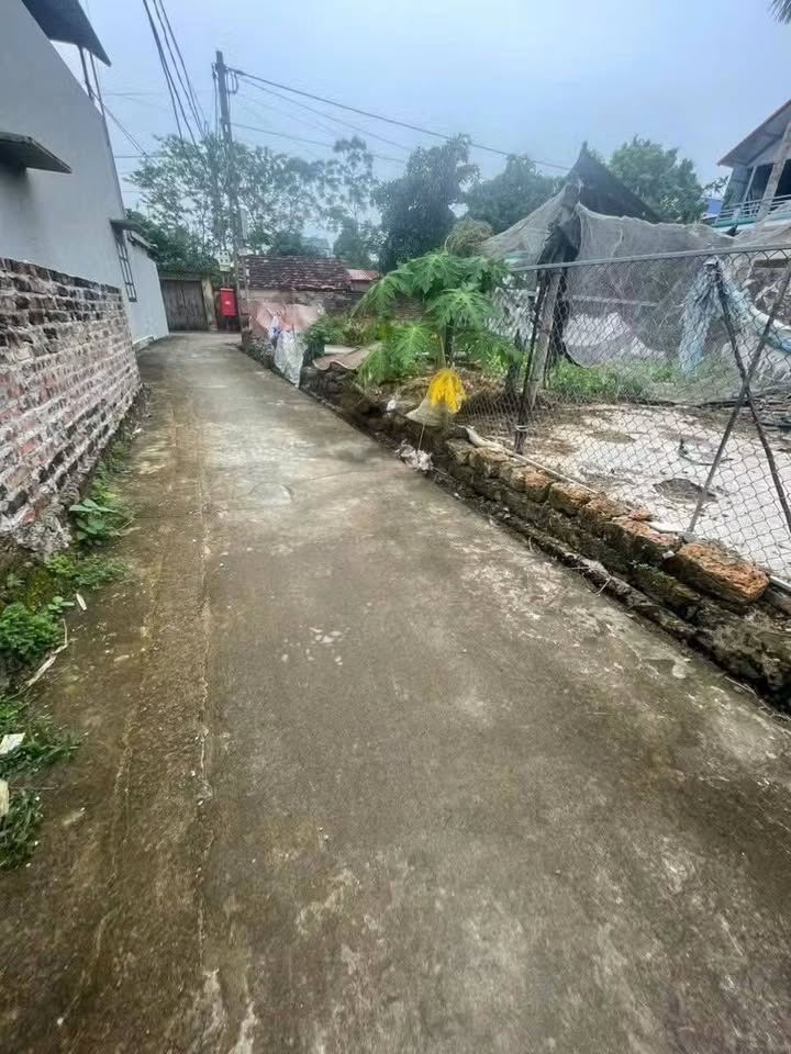 Đất Phú Cát full thổ cư, giá nhỉnh 1 tỷ - Đầu tư là lời ngay