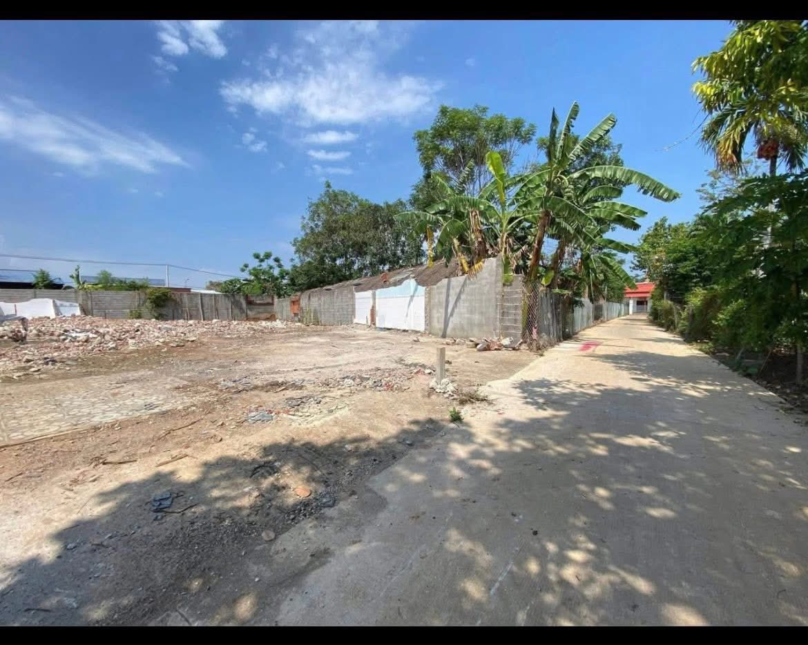 Đất vàng Cẩm Mỹ - 200m² thổ cư sạch, sổ riêng, giá chỉ 980 triệu