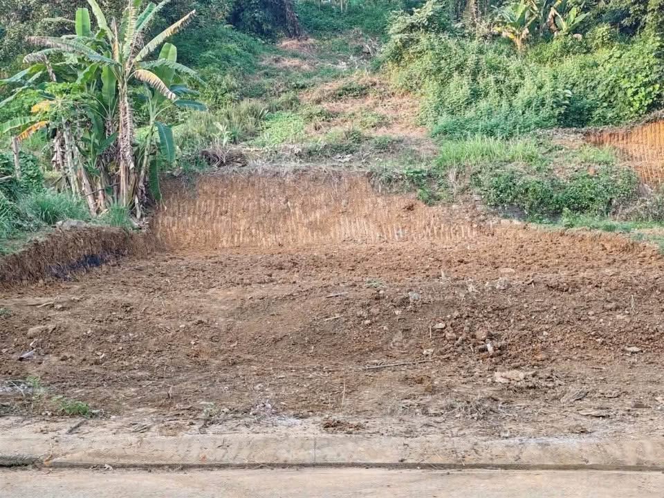Đất 224m2 mặt đường Trần Văn Nỏ, Lào Cai giá 1 tỷ, ví tiền bình dân vẫn có đất trồng rau