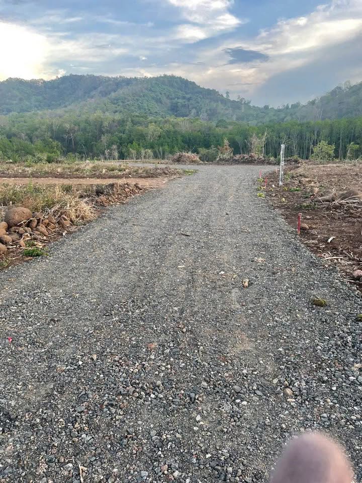 Mảnh đất nông nghiệp tại thôn 8, Cưêbur, Đắk Lắk