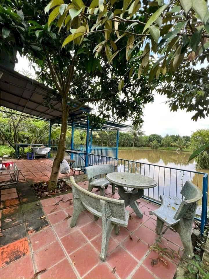 Bán đất view sông 590m2 nở hậu, Vĩnh Cửu, Đồng Nai, giảm sâu từ 7,5 tỷ còn 5,7 tỷ