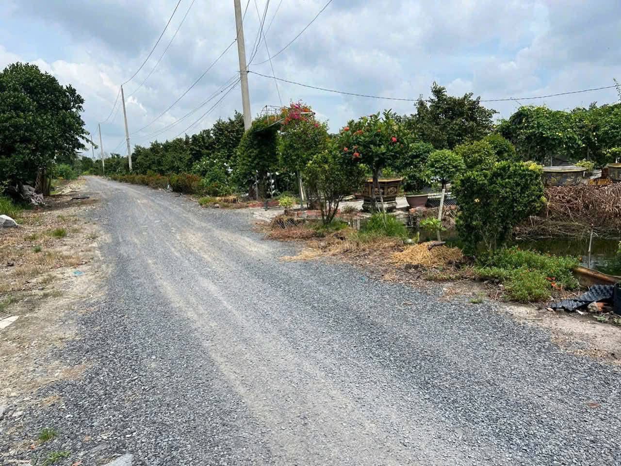 Bán đất vườn 500m² Bình Đức, Bến Lức - Thích hợp nghỉ dưỡng, tiềm năng lên thổ cư