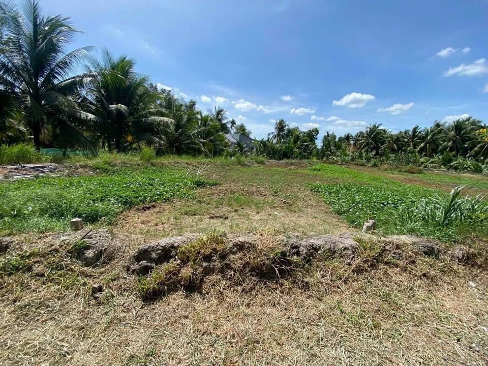 Mặt tiền Huệ Sanh 5x23m, giá 560 triệu, an cư kinh doanh đỉnh cao