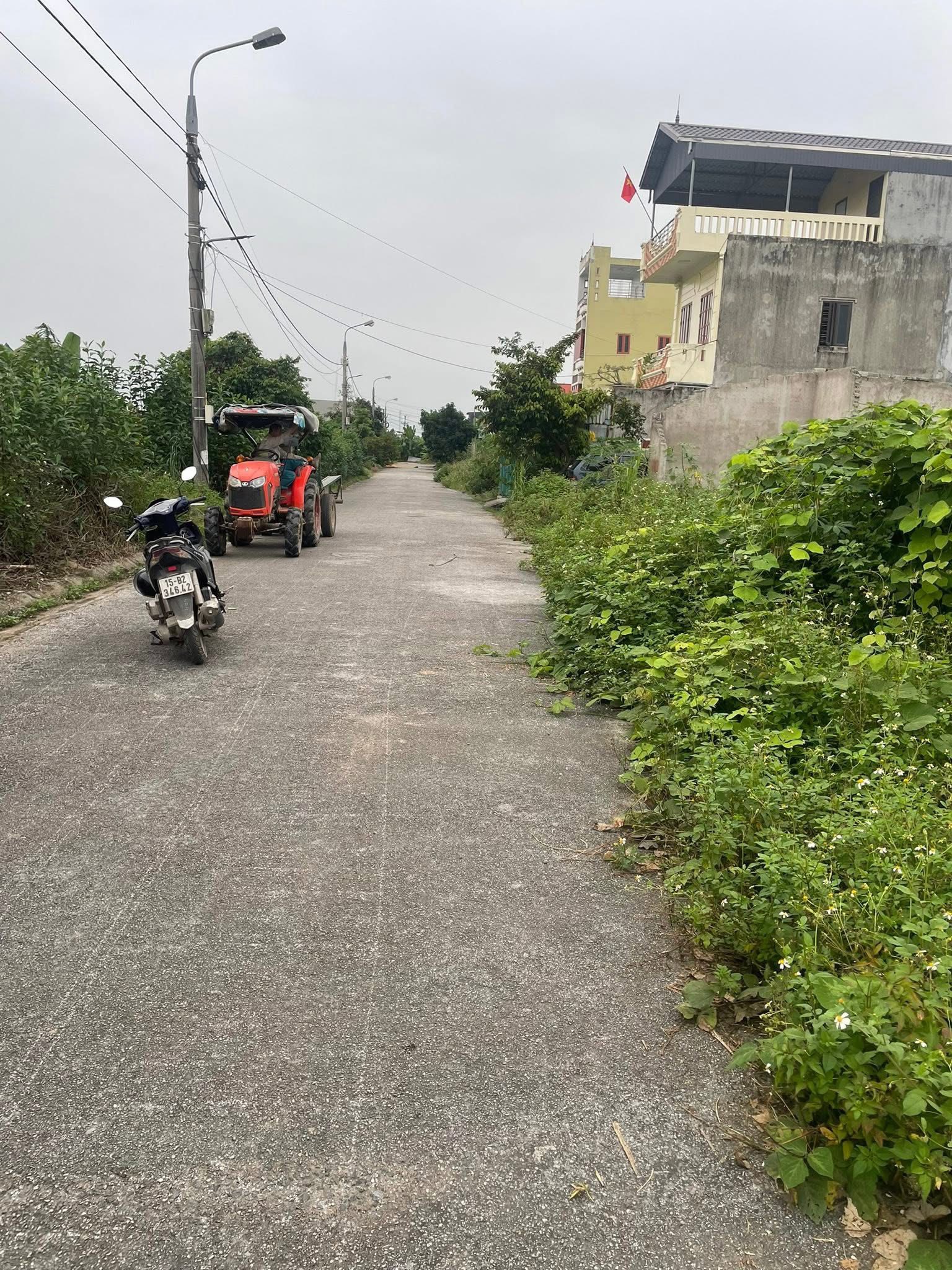 Bán đất tái định cư Tân Viên, An Lão, Hải Phòng 100m2