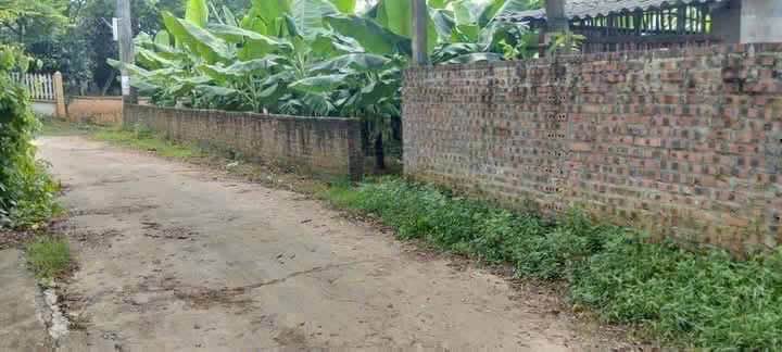 Bán lô đất 2 mặt tiền gần 600m2 tại Tam Đảo, Vĩnh Phúc, giá hấp dẫn