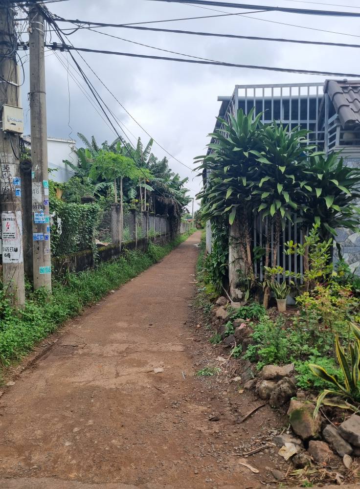 Đất Hòa Khánh cũ hơn 1 sào, nở hậu, giá tốt