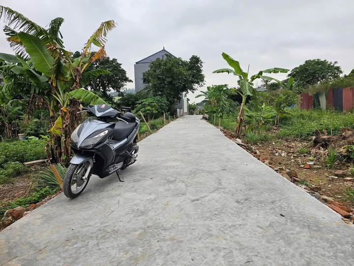 Hai lô đất "hời" ngay trung tâm Đồng Tải, ô tô đỗ tận cửa