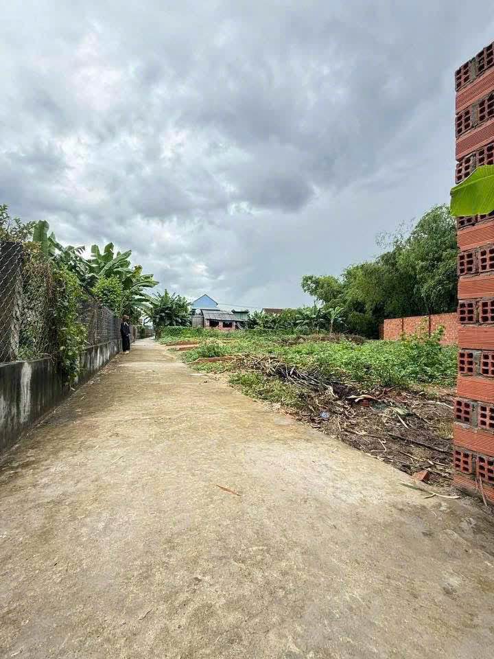 Xả lỗ 2 lô đất vàng Long Quang, Nhơn Hòa - Hơn 100m2, mặt tiền 5,5m, giá sốc chỉ 320 triệu