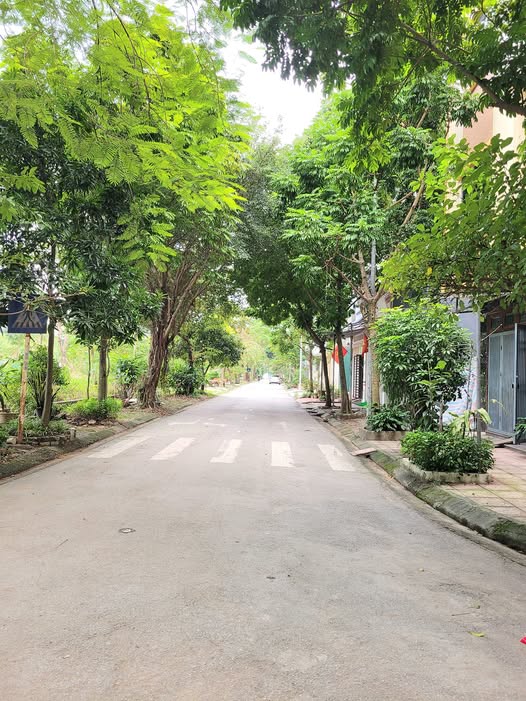 Đất đấu giá Kiến Hưng, Hà Nội - View công viên, vỉa hè, mặt tiền 5m