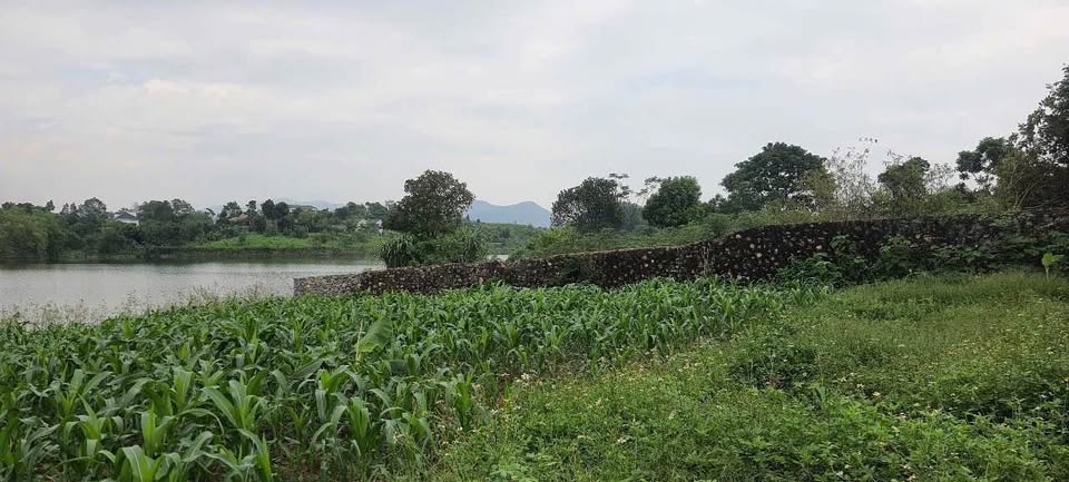 Bán đất 1160m2 bám hồ Đồng Chanh, Lương Sơn, Hòa Bình