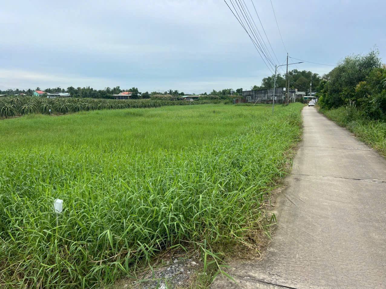 Đất lúa view kênh siêu chill, full thổ cư, giá chỉ 900 triệu