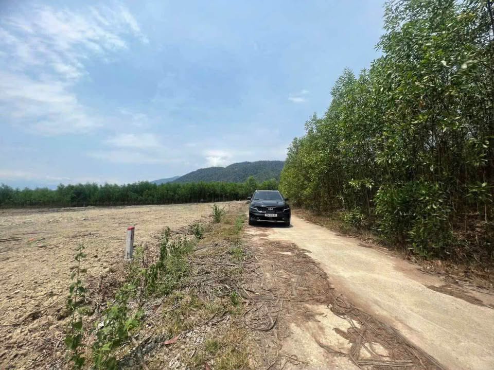 Đất Cà Thiêu - Khánh Hiệp 633m2, đường ô tô thông, giá mềm