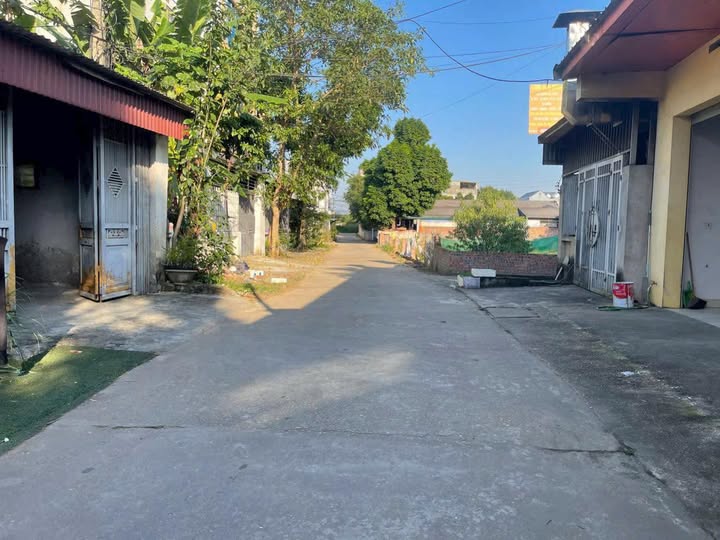 Bán nhanh lô đất đẹp 80m² mặt tiền 5m tại Minh Phương, Việt Trì, Phú Thọ