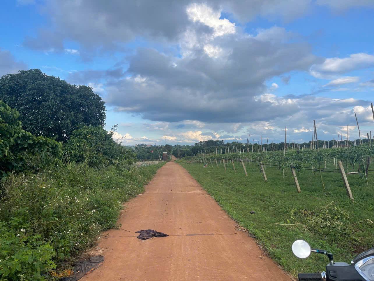 Bán đất vườn 1000m² hẻm xe hơi thông, Xã Chư Á, Gia Lai