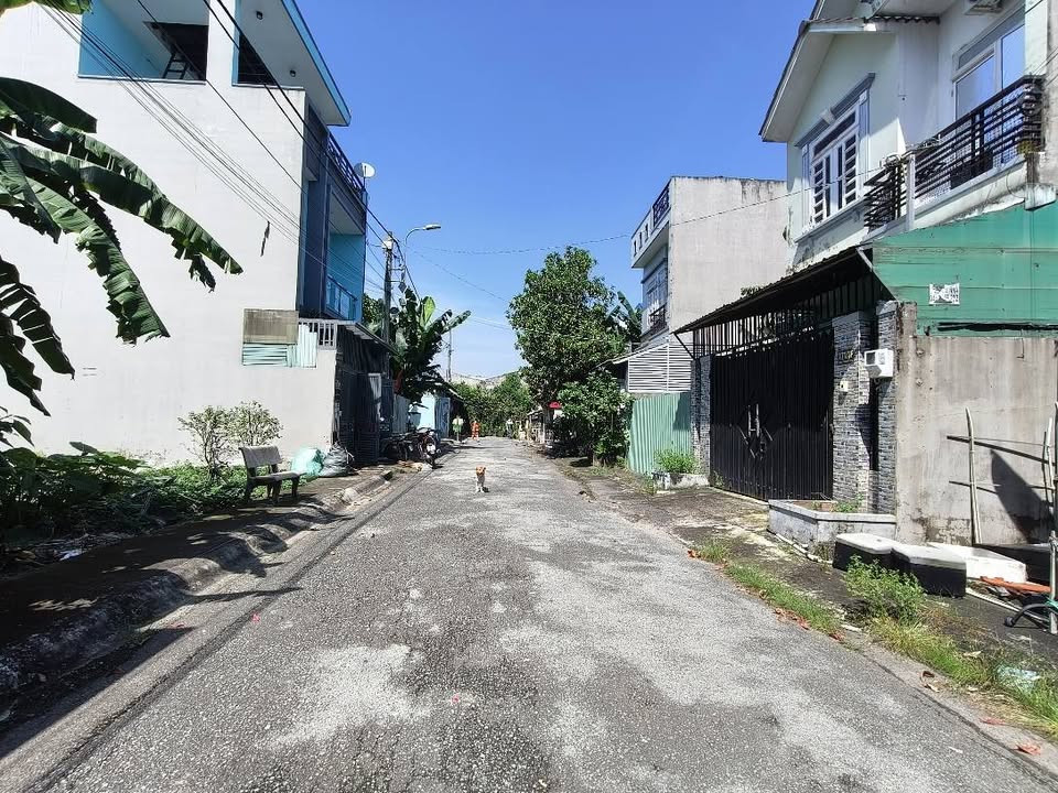 Đất vàng 3.65 tỷ giảm sốc 300 triệu, hẻm 7m xe hơi tránh nhau, sổ đẹp 92.7m²