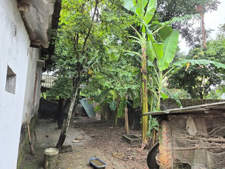 Bán đất thổ cư 100m2 tại Tam Đảo, Vĩnh Phúc, giá hơn 600 triệu