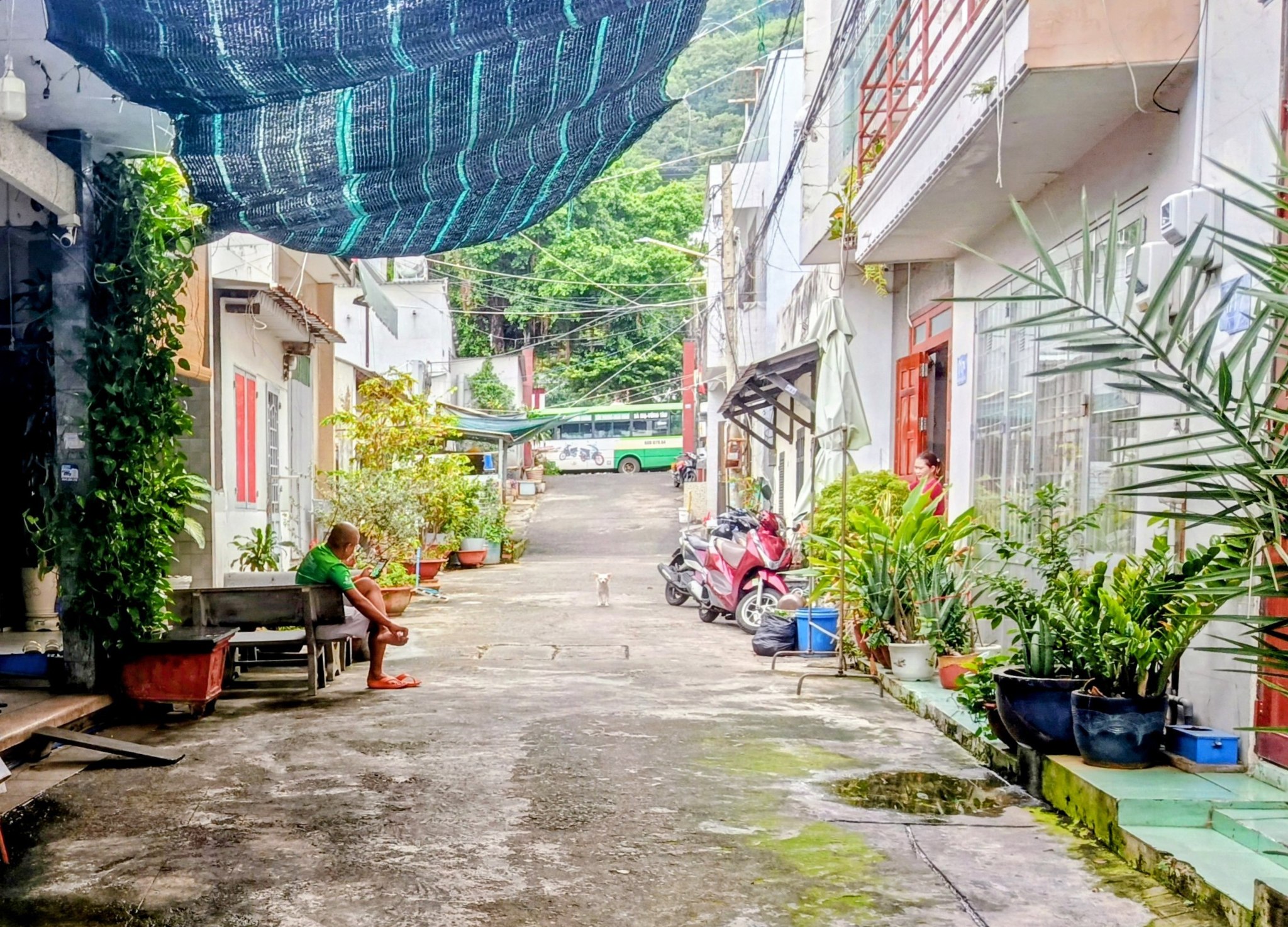 Nhà cấp 4 hẻm ô tô Trần Phú, Vũng Tàu 131m² sát biển, giá 6,8 tỷ