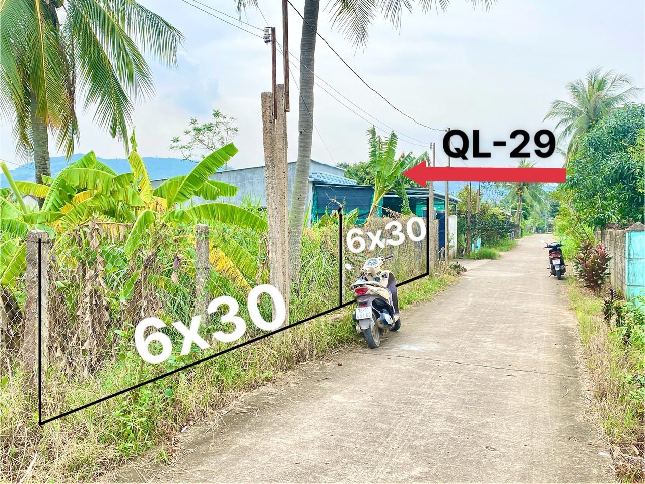 Đất vàng Đức Bình lô 6m x 30m thổ cư, đường thông tứ hướng, gần Quốc Lộ 29