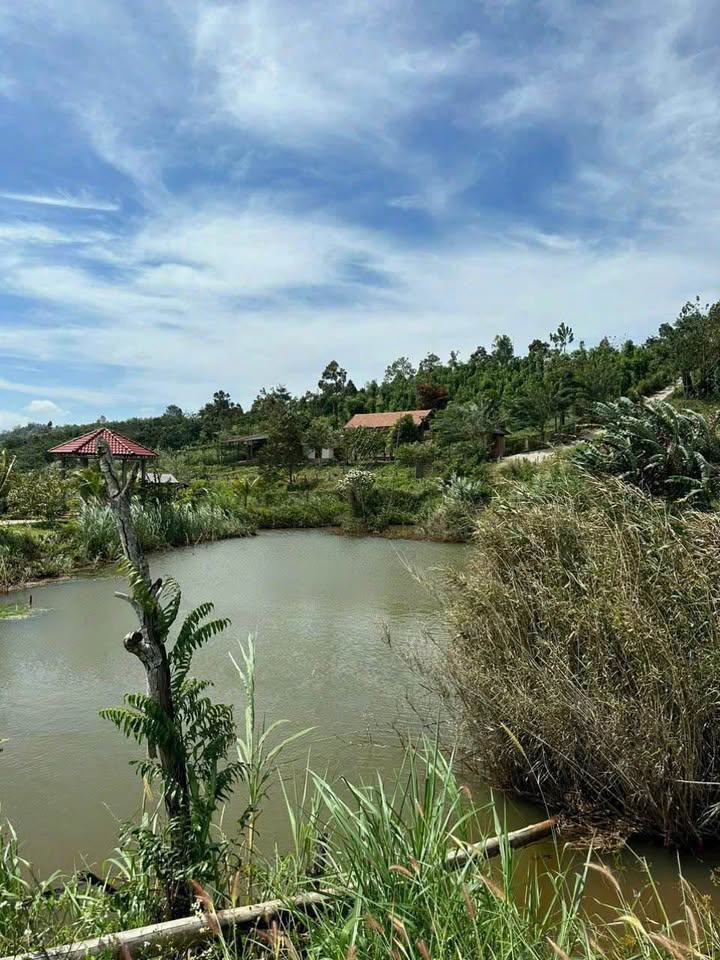 Farm nghỉ dưỡng 9000m2, 3 hồ nước tuyệt đẹp tại Gia Nghĩa chỉ 2,7 tỷ