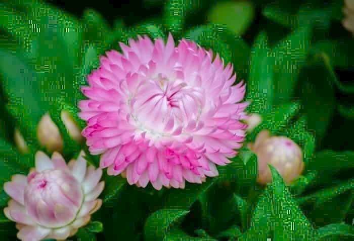 Nhà 4,5mx12m, 1 trệt 3 lầu, 4 phòng ngủ, hướng Đông Bắc, Quận 12, 5,95 tỷ