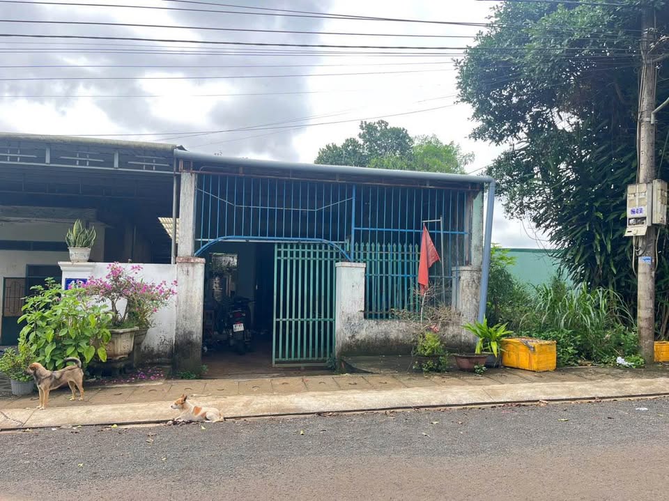 Chớp ngay nhà mặt tiền Nguyễn Xí, Gia Lai 975 triệu, sổ sẵn, view ruộng cực chill