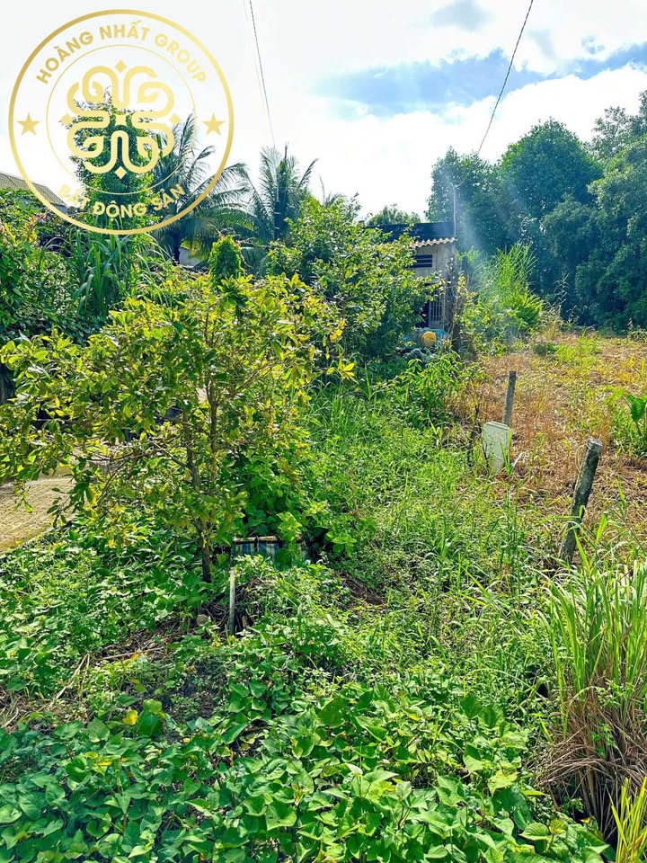 Đất mặt tiền Hoàng Văn Thụ, Cà Mau vị trí đẹp, lộ nhựa rộng