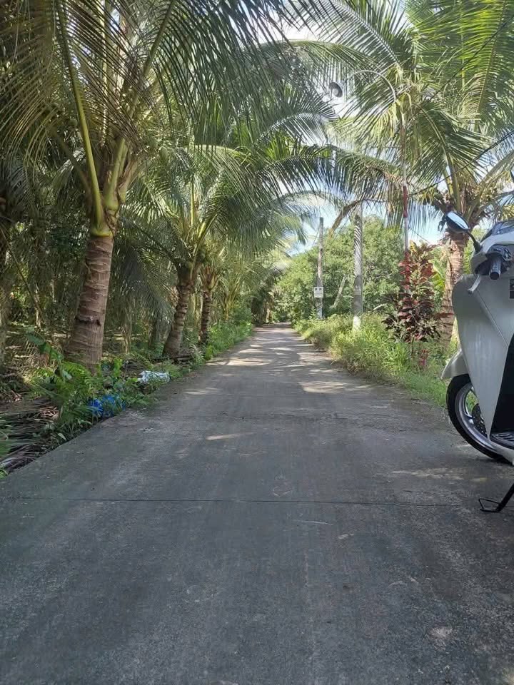 Đất nền full thổ cư, đường ô tô tại Long Định, Đồng Tháp - Giá chỉ 400 triệu