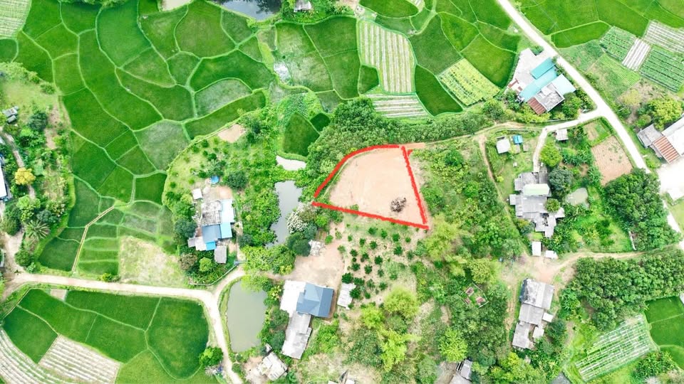Bán 100m2 đất view cánh đồng đẹp tại Kim Bôi Cũ, Hòa Bình