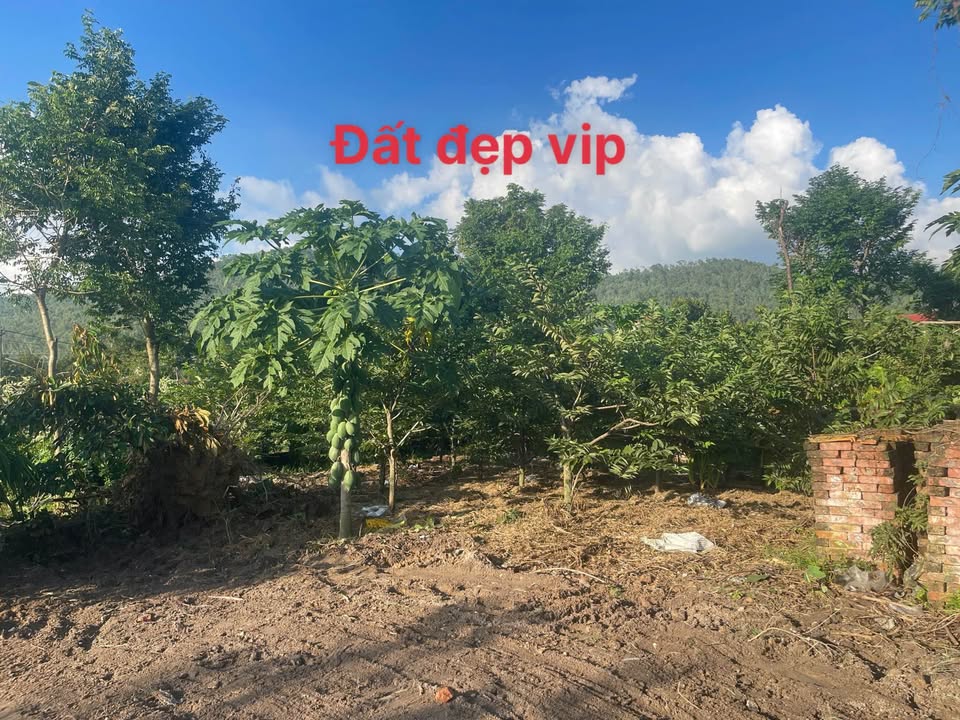 Bán đất nghỉ dưỡng/đầu tư 400m2, mặt tiền 12m, Vĩnh Yên, Vĩnh Phúc