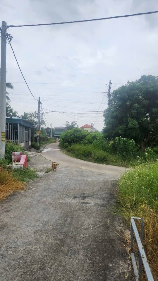 Đất Uông Bí, hơn tỷ có ngay 210m2, đường ô tô tránh, không khí trong lành