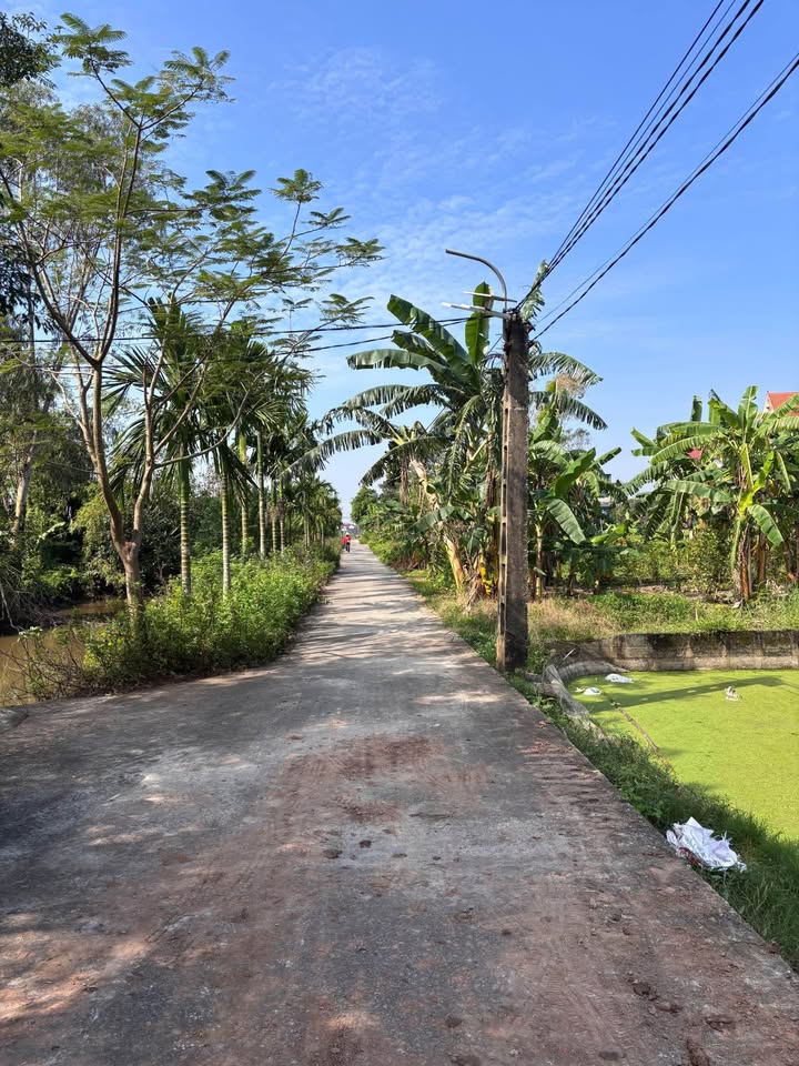 Siêu phẩm 95m2 tại Vũ Đoài, Vũ Thư - Đường ô tô thông thoáng