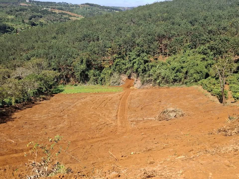 8 Sào đất vàng sổ đỏ đầy đủ, vị trí đắc địa gần trung tâm Gia Nghĩa